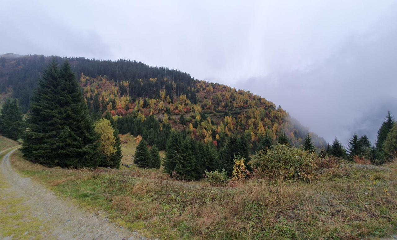 Yeti * Sedrun